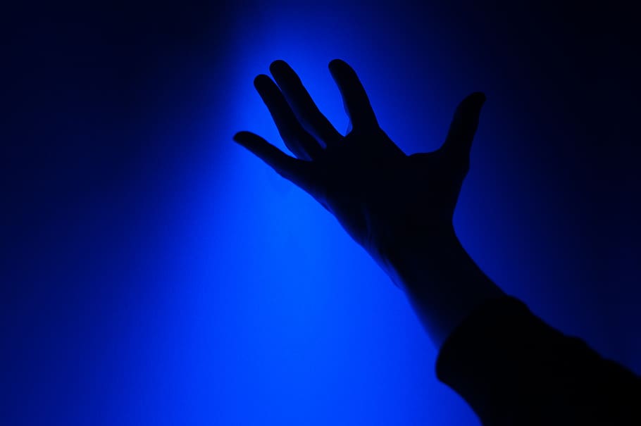 right hand silhouette, human body part, human hand, blue, back lit HD wallpaper