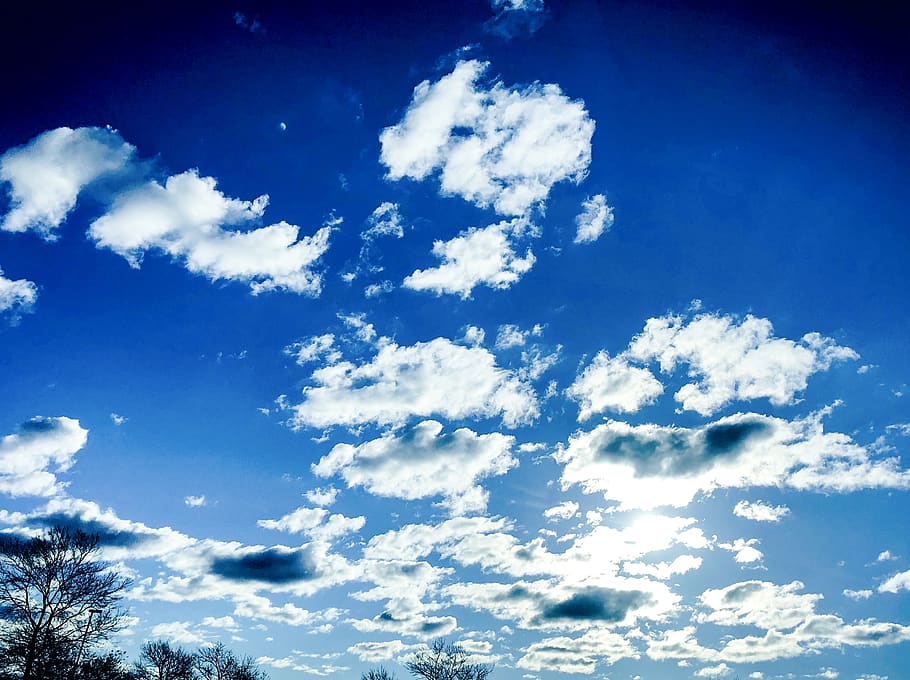 blue sky, tree line, clouds, cloud - sky, beauty in nature HD wallpaper