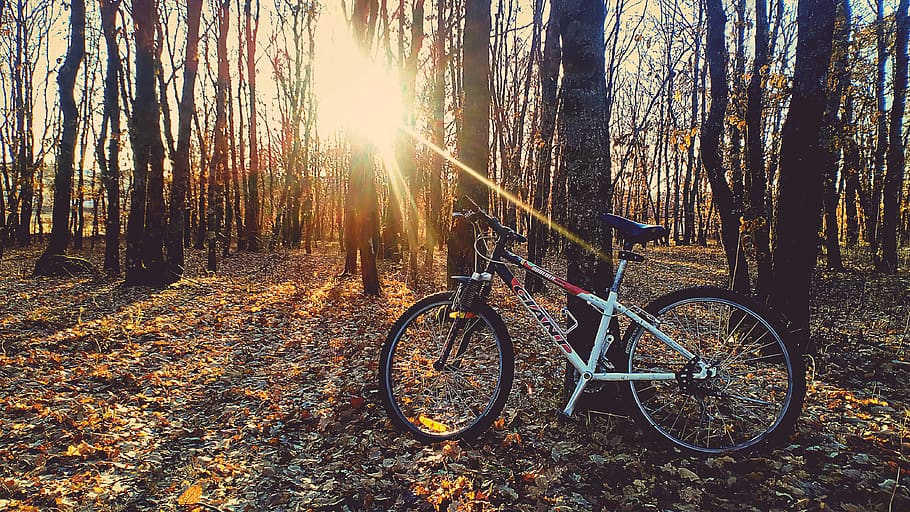 Red and White Hardtail Bike, bicycle, daylight, daytime, environment HD wallpaper