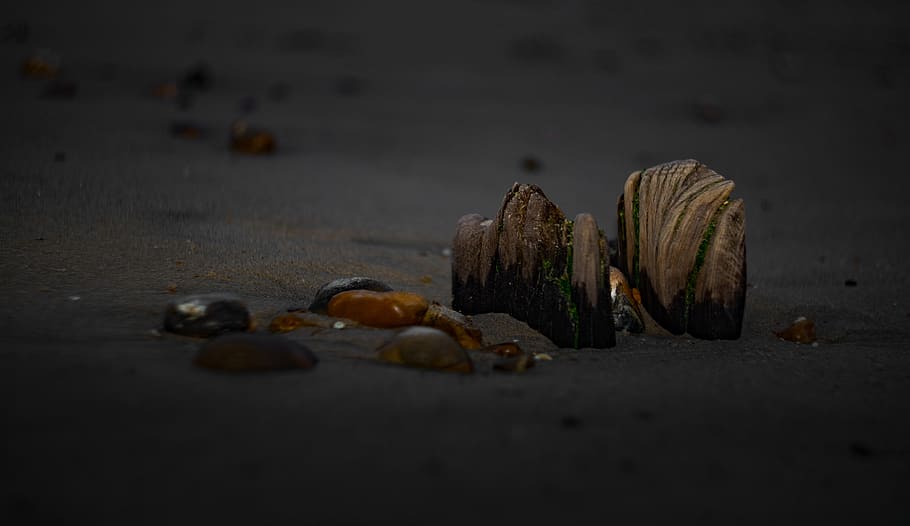 selective focus, still life, close-up, no people, food, food and drink HD wallpaper
