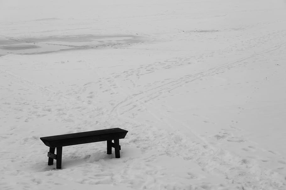 cold temperature, snow, winter, tranquility, nature, beauty in nature HD wallpaper