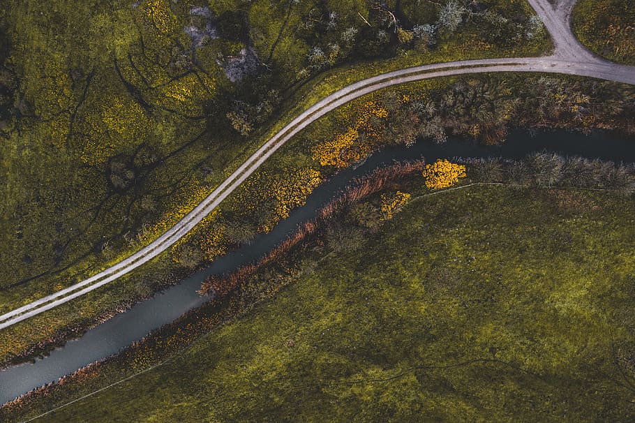 green-leafed trees, nature, outdoors, landscape, scenery, aerial view HD wallpaper