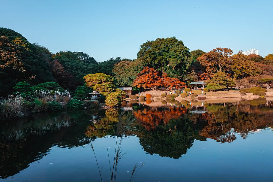 4K HDR // Tokyo Sakura 2022 - Shinjuku Gyoen National Garden 