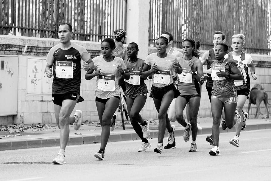 people running on road, group of people, real people, sport, lifestyles HD wallpaper