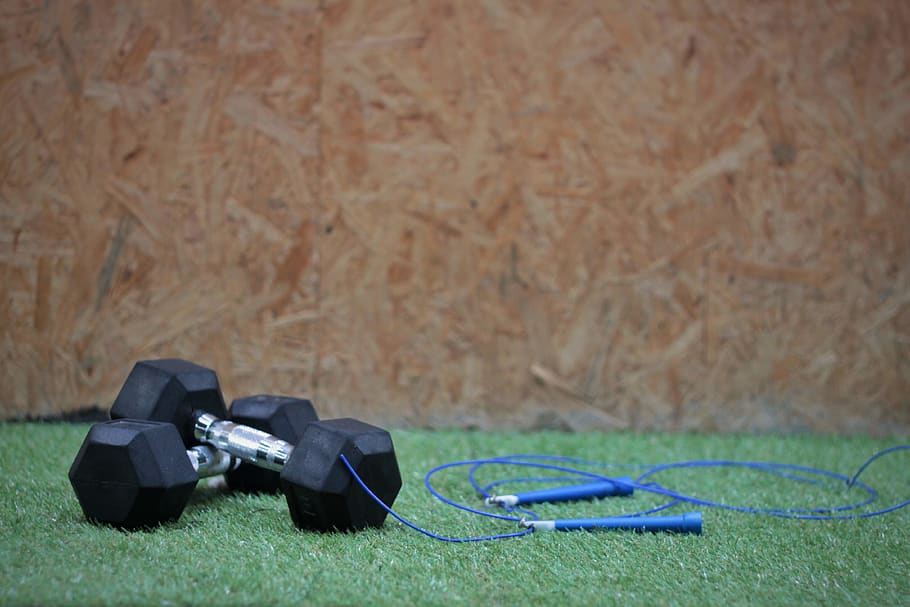 electronics, wood, crystal, headset, headphones, grass, plant HD wallpaper