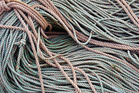 gray and brown ropes, animal, reptile, snake, rug, bird, spiral HD wallpaper
