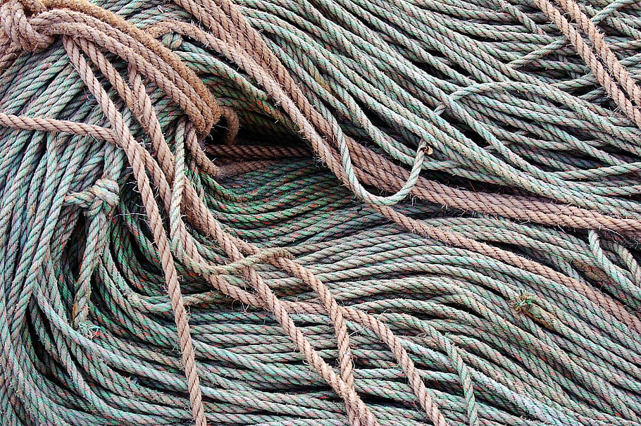 gray and brown ropes, animal, reptile, snake, rug, bird, spiral HD wallpaper