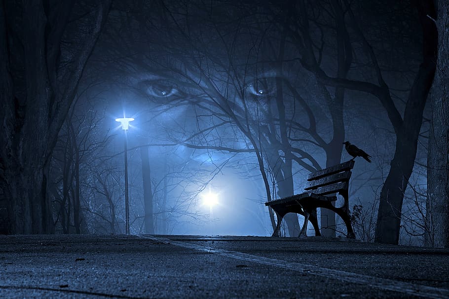 eyes, night, road, woman, crow, forest, mystic, gothic, spectral, HD wallpaper