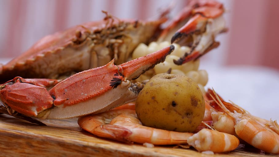food and drink, freshness, close-up, indoors, no people, healthy eating HD wallpaper