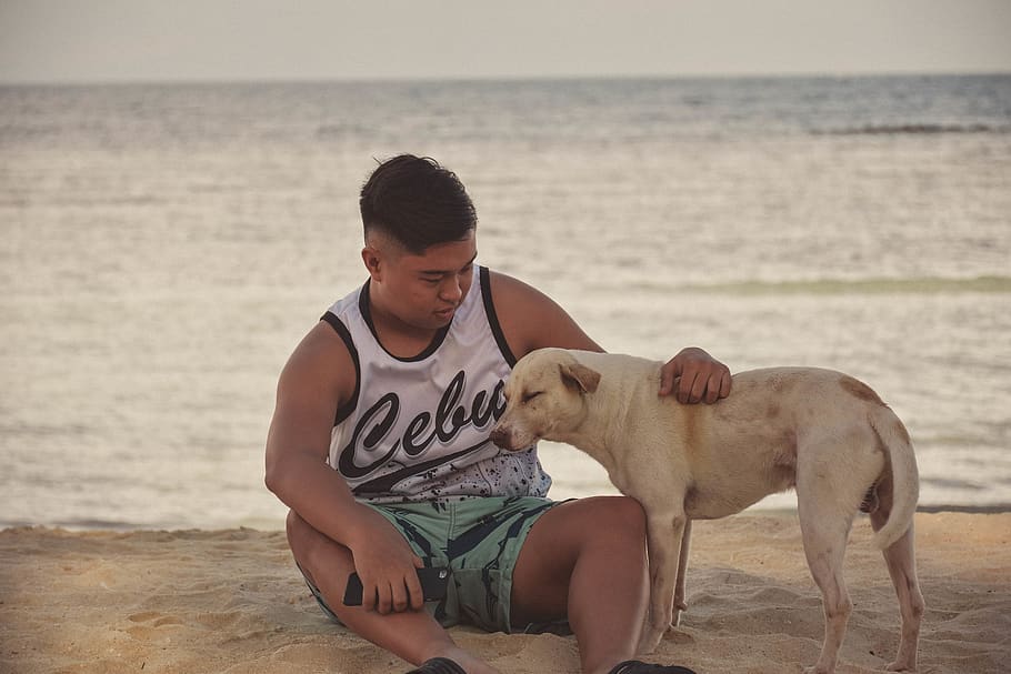 man sitting on shore beside white dog, person, human, canine