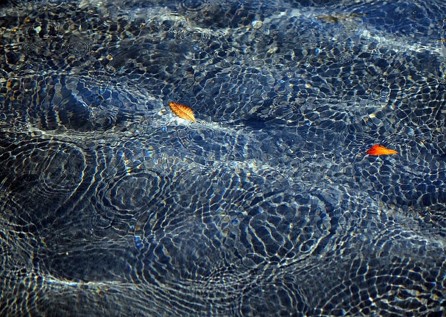 water, surface, ripple, wave, drops, rain, circles, liquid HD wallpaper