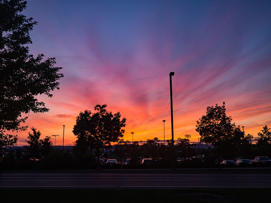 Sunset Over Parking Lot, Nature, Sky, Summer, Trees, black, orange HD wallpaper