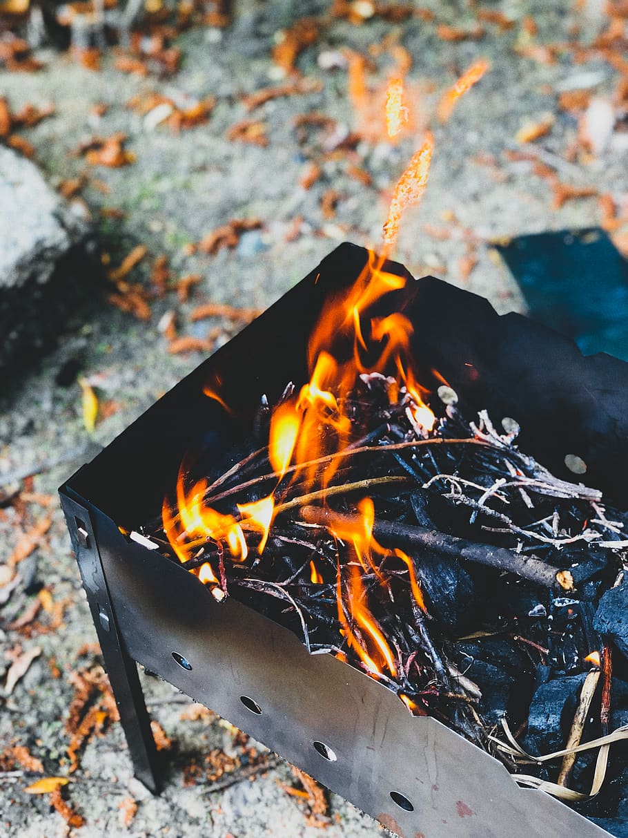 burned woods in shallow focus photography, fire, flame, campfire, HD wallpaper