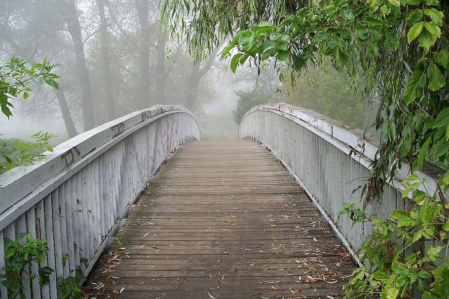 bridge, romantic, view, mood, landscape, beautiful, plant, direction HD wallpaper
