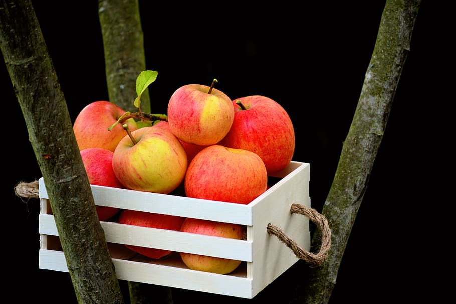 apple, goldparmäne, box, apple crate, fruit, harvest, garden HD wallpaper