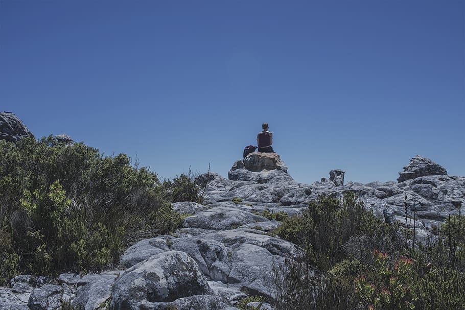 alone, sitting, view, lookout, mountain, rock, sky, plant, beauty in nature HD wallpaper