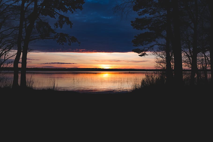 lake, sunset, forest, spring, water, sky, tranquility, beauty in nature HD wallpaper