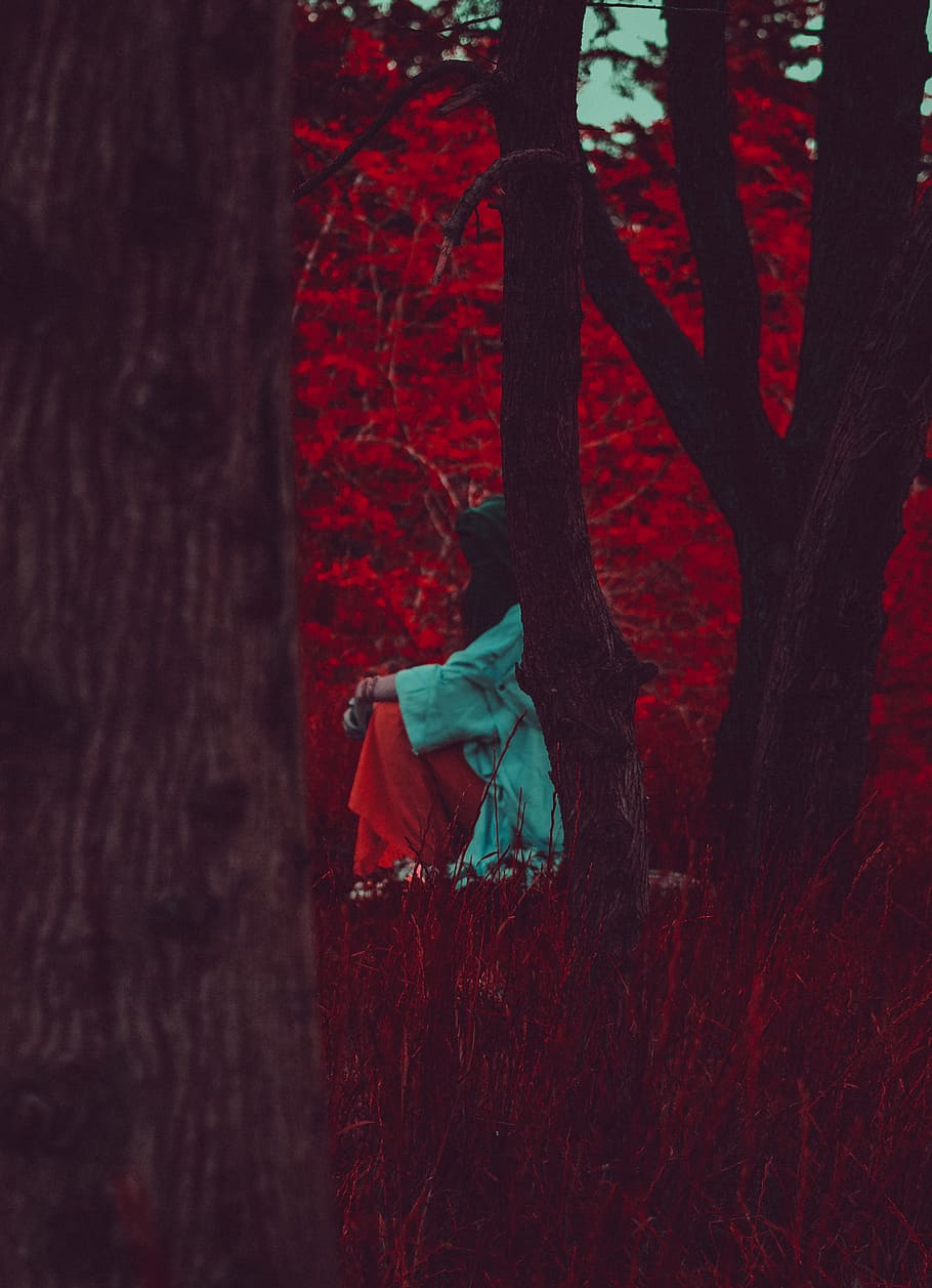 tree, plant, leaf, clothing, apparel, tree trunk, maple, photo HD wallpaper