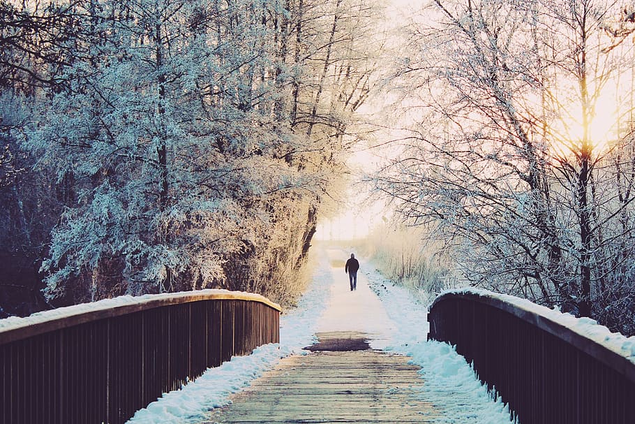 Man Walking Beyond Bridge, branches, bright, cold, fog, forest HD wallpaper