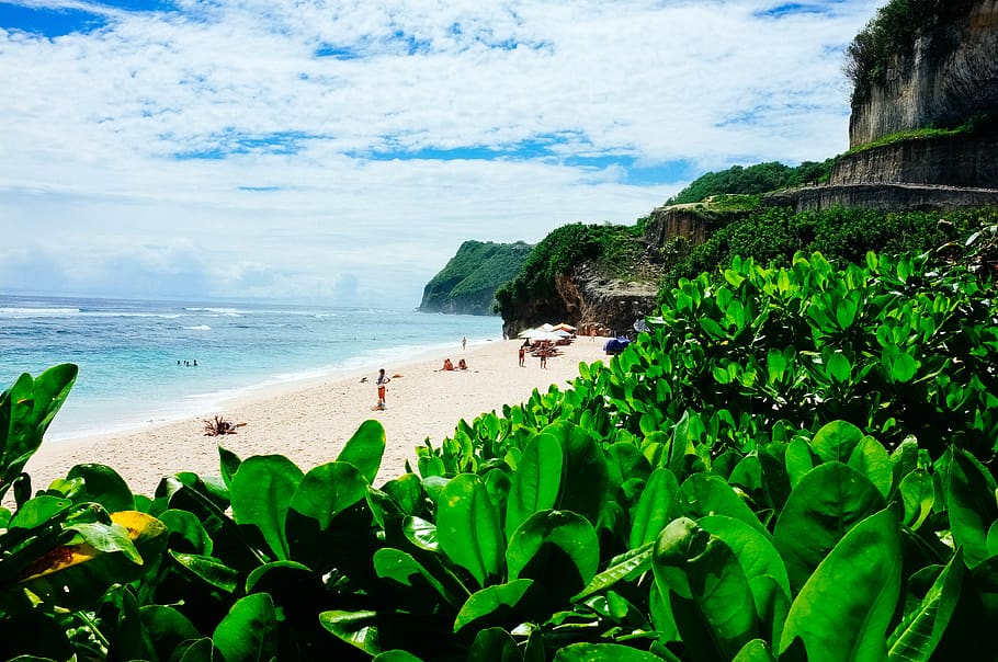 trees, sunny, clouds, ocean, water, sea, sand, beach, bush HD wallpaper