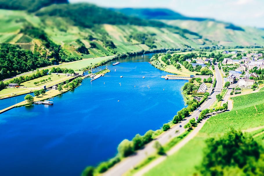 germany, wintrich, trees, river, boat, water, plant, nature HD wallpaper
