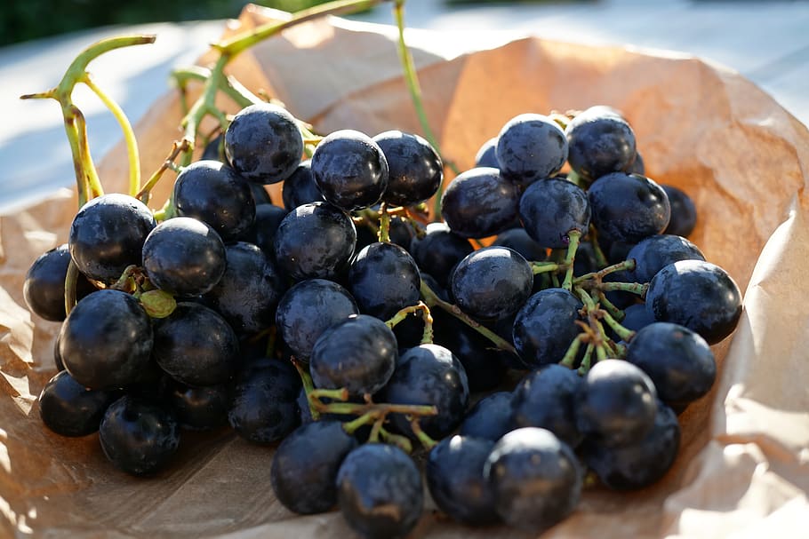 grape, grapes, blue, fruit, vine, grapevine, food, sweet, fresh HD wallpaper
