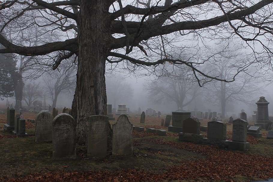 united states, new london, autumn, graves, fog, eerie, ghosts, HD wallpaper