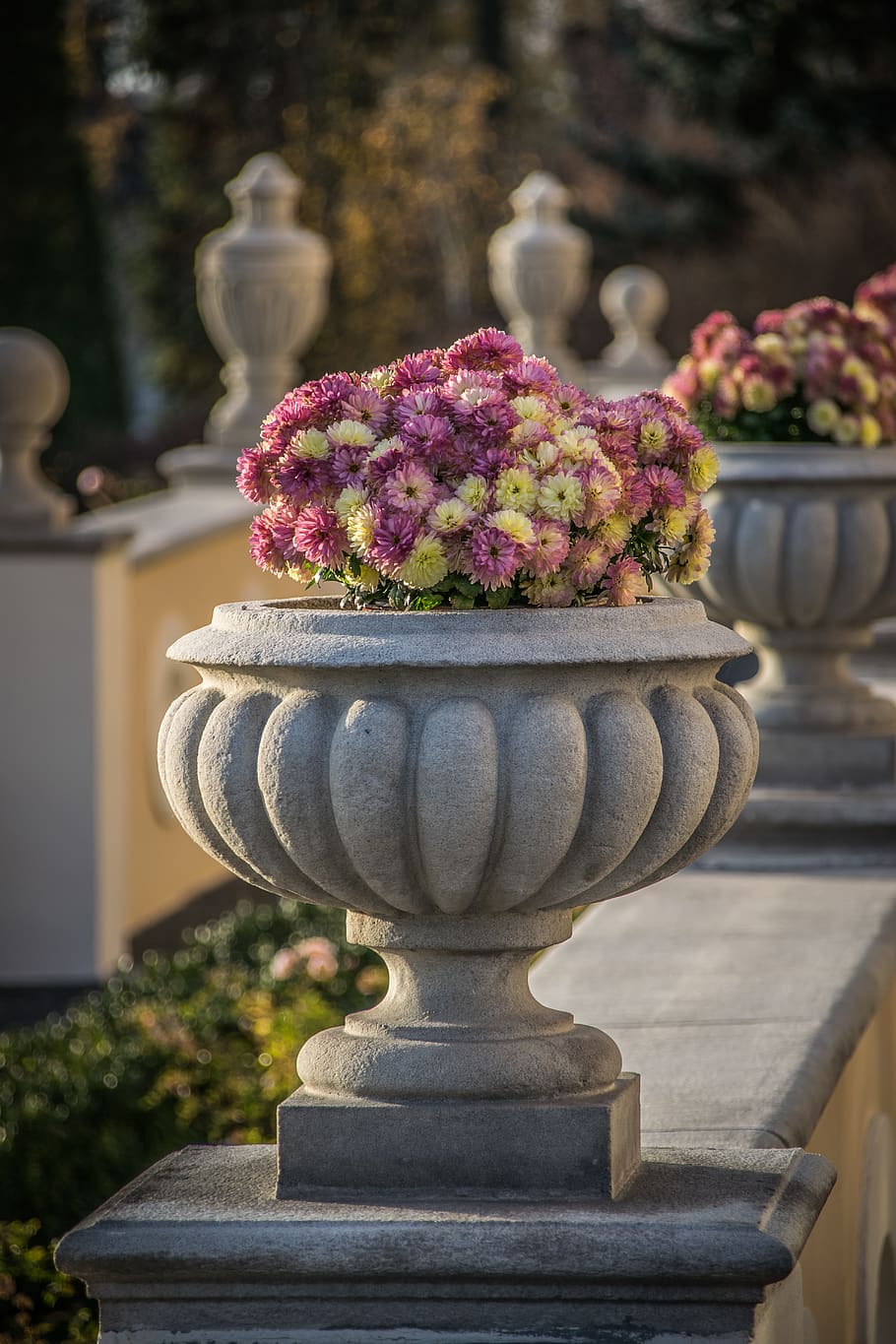 park, architecture, historically, castle, flowers, plant, flowering plant HD wallpaper