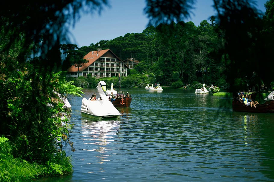 brazil, gramado, lago negro., water, nautical vessel, tree