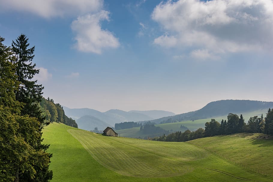 nature, panorama, landscape, tree, grass, hill, sky, summer HD wallpaper