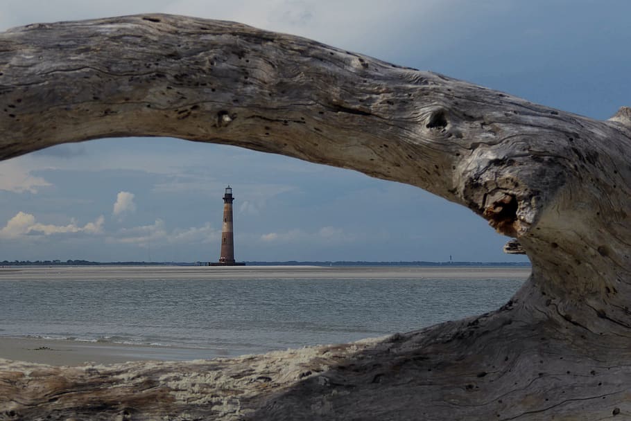 ocean, beach, lighthouse, summer, driftwood, sea, sky, water HD wallpaper
