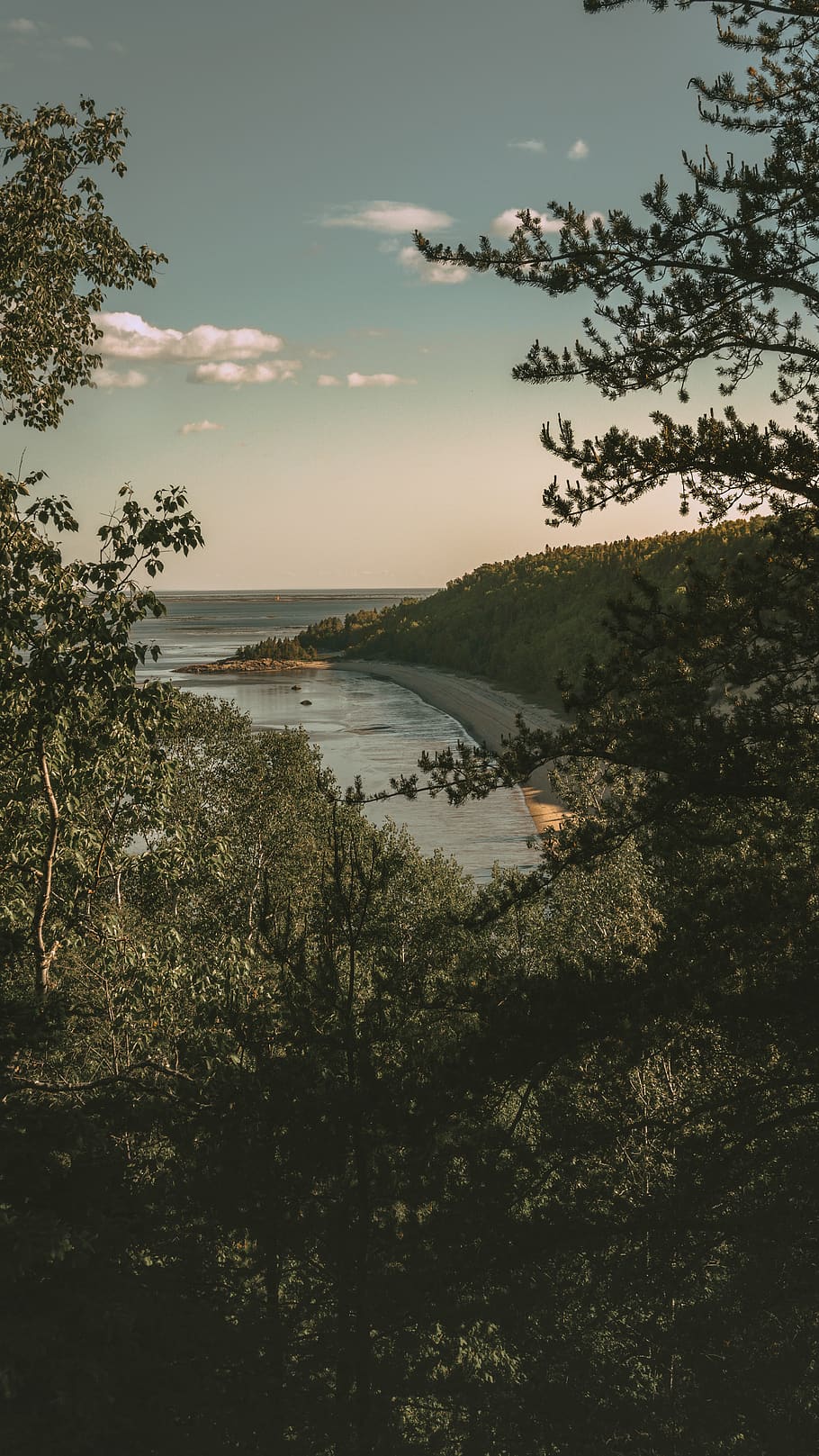 view of beach line, outdoors, nature, land, tree, plant, vegetation HD wallpaper