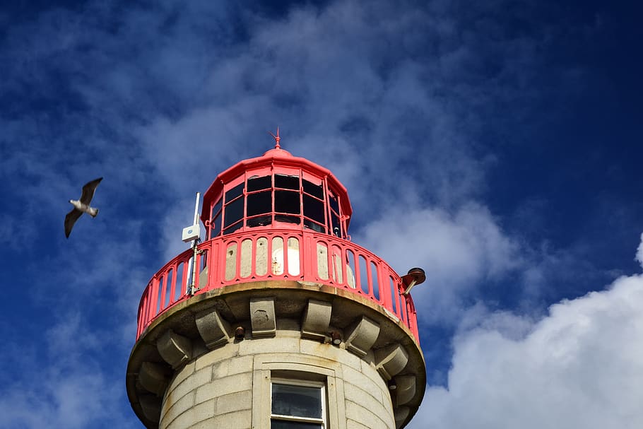 ireland, dublin, lighthouse, sky, bird, low angle view, cloud - sky HD wallpaper