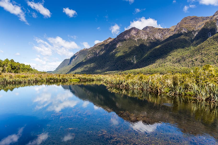 new zealand, fiordland national park, mirror lakes, reflection, HD wallpaper