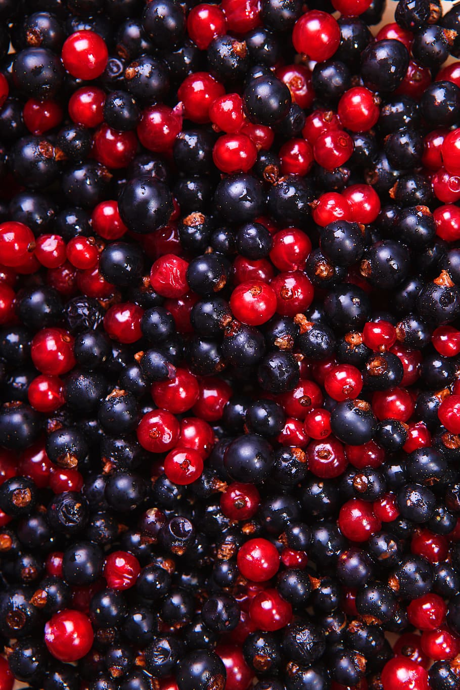 berry, berries, close-up, closeup, diet, dieting, eating, food HD wallpaper