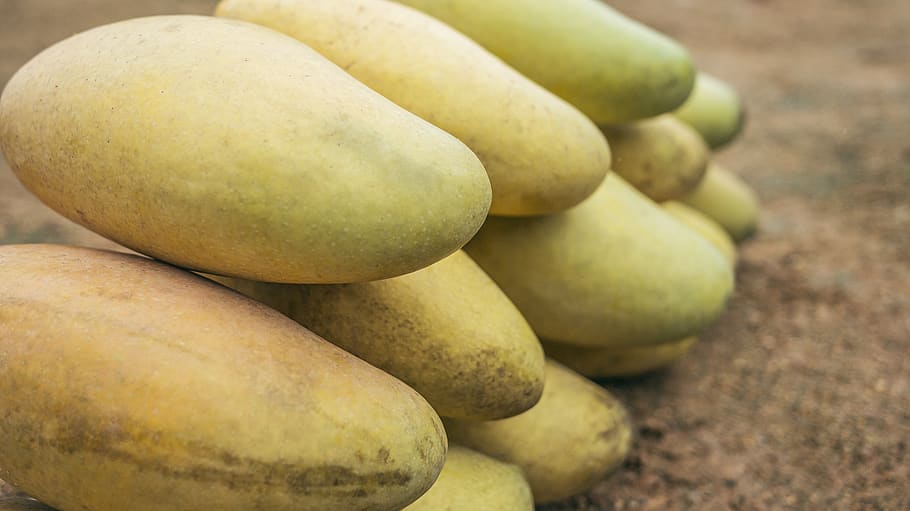 plant, food, fruit, mango, bread, vegetable, papaya, radish HD wallpaper
