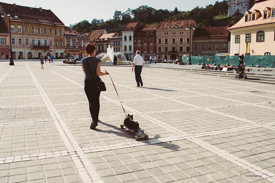 walking, town, tail, square, skateboard, romanium, riding, ride HD wallpaper