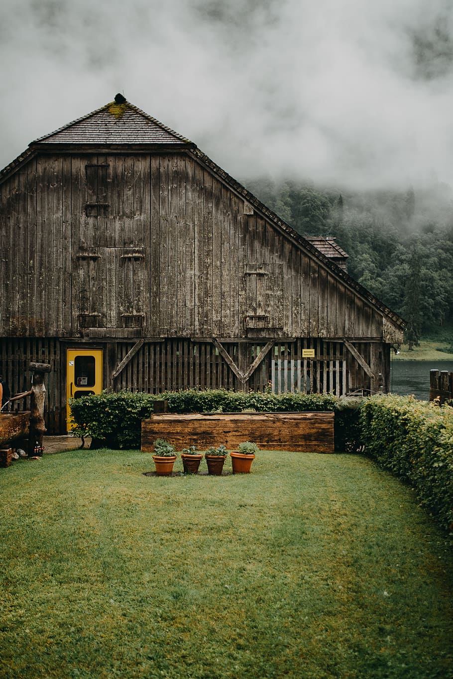 four green leaf potted plants on green grass, fog, mountain, woog house HD wallpaper