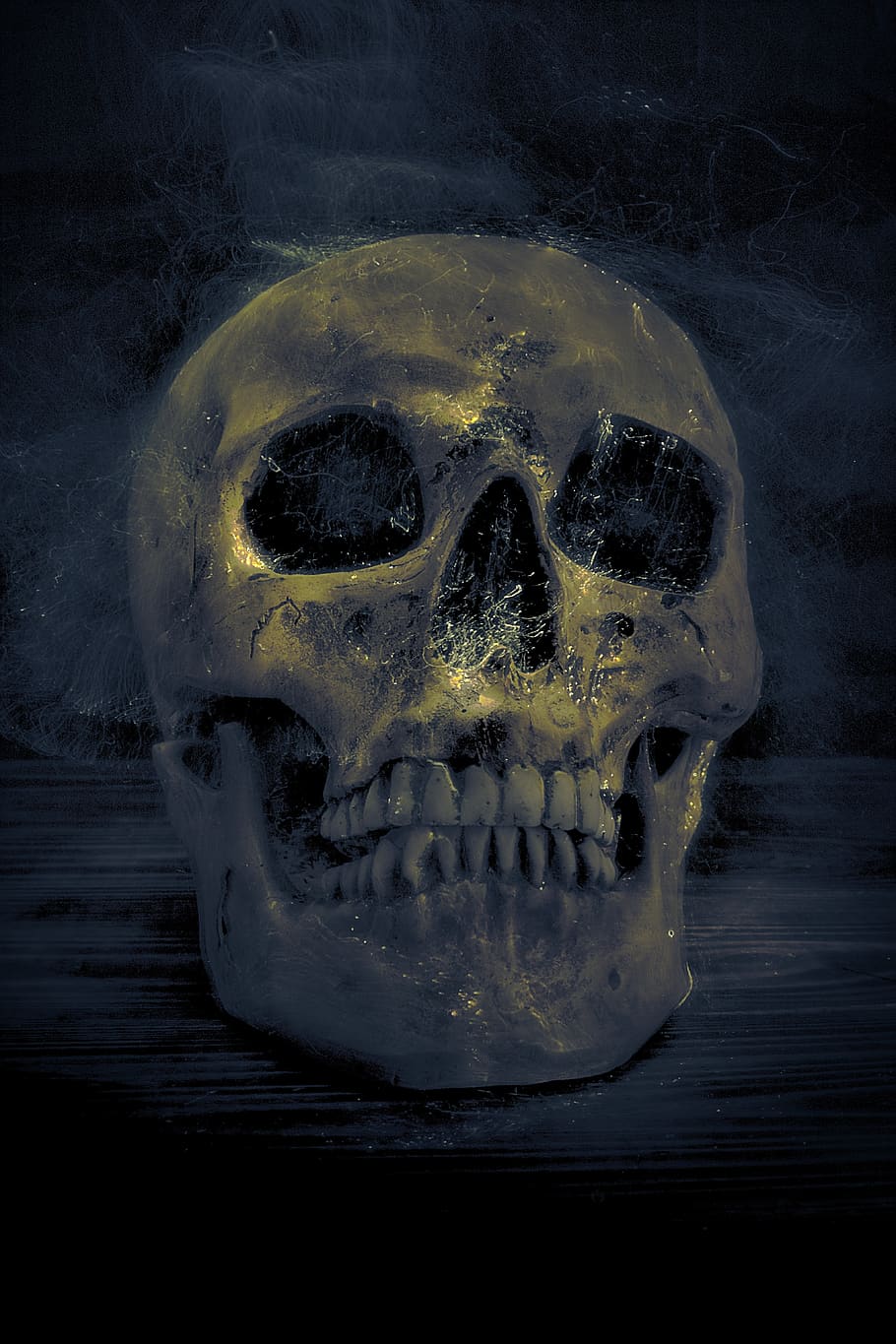 skull, spirit, mystical, weird, surreal, horror, creepy, fantasy, HD wallpaper