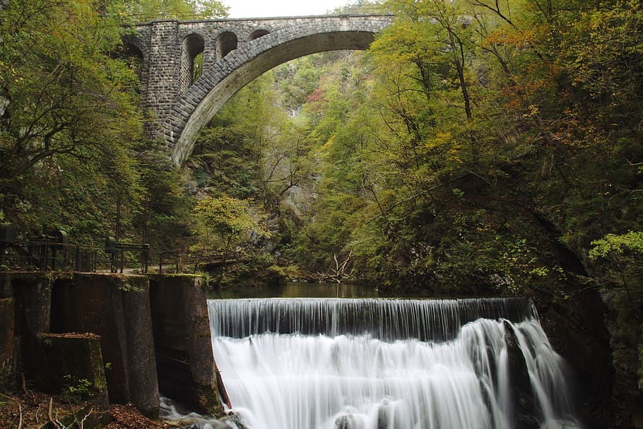 waterfalls surrounded with trees, plant, arch, motion, bridge HD wallpaper
