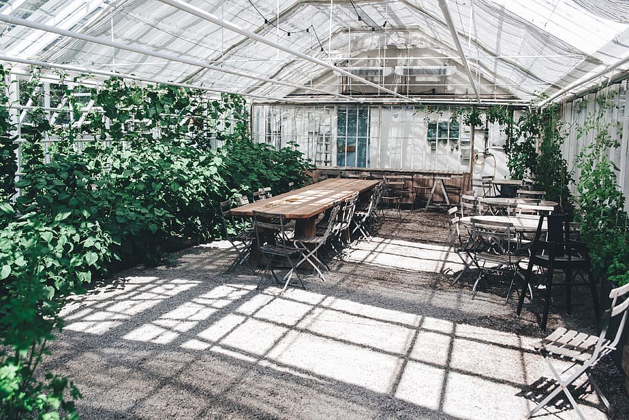 brown wooden table inside building interior, plant, architecture HD wallpaper