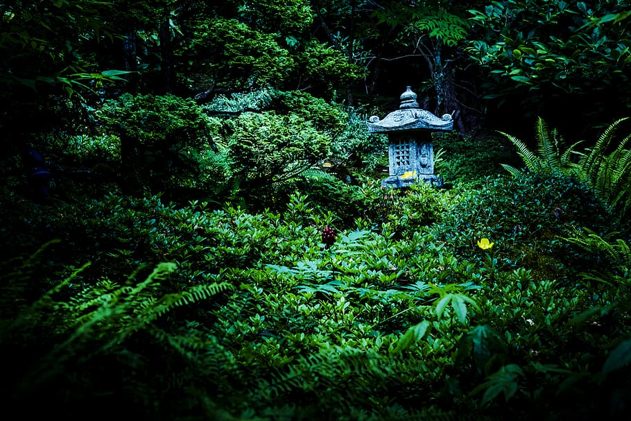 brentwood bay, butchart gardens, featured gardens, japanese, HD wallpaper