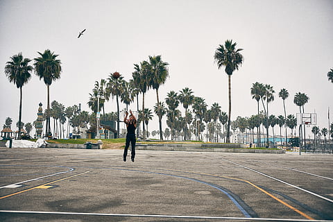 tree, practice, venice beach, determination, focu, playing HD wallpaper