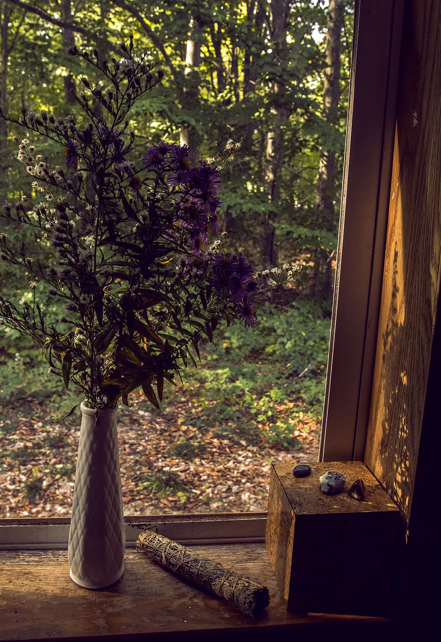 tree, flower, trees, flowers, bouquet, vase, wildflower, nature HD wallpaper