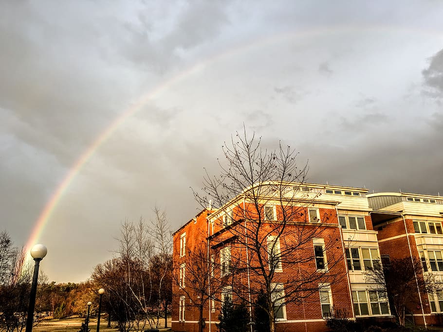 Rainbow Appear Above Brown and White Concrete Building, architecture HD wallpaper