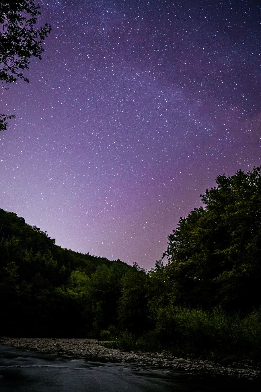 night, sky, star, tree, purple, green, glow, river, landscape HD wallpaper