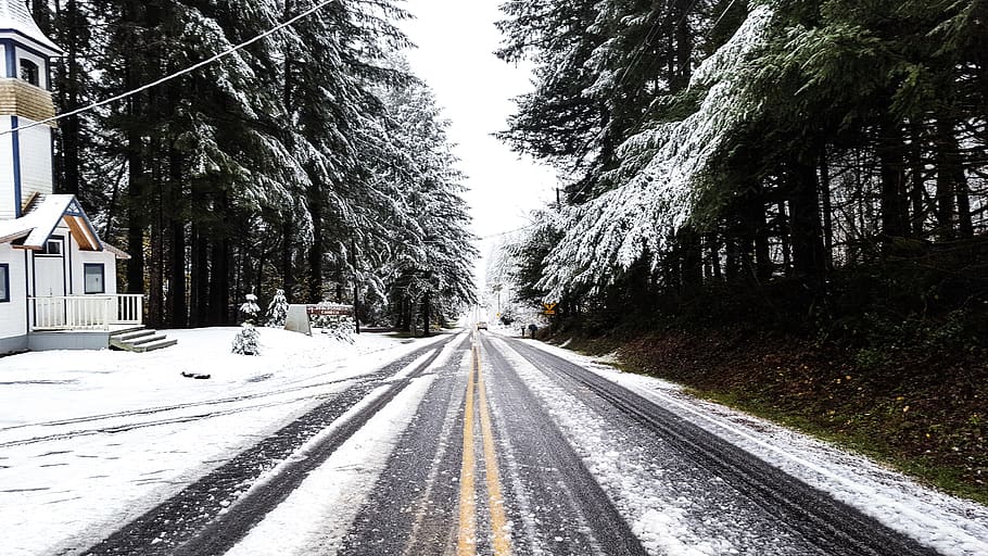 snow, forest, road, trees, straight road, country, church, winter HD wallpaper