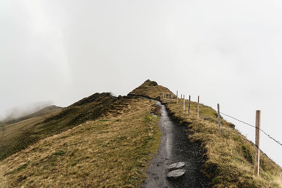green grass, ridge, trail, path, cloudy, overcast, mountain, fog HD wallpaper