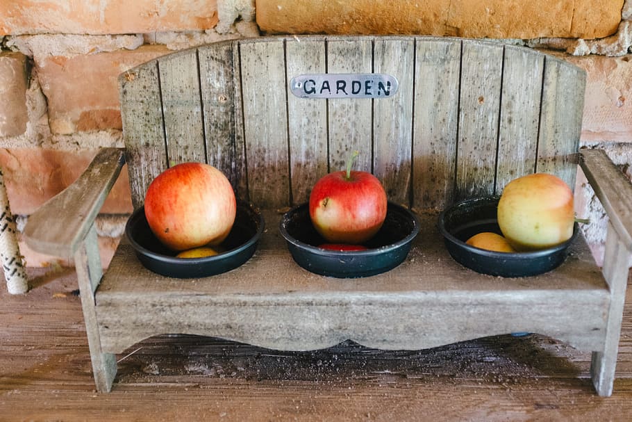 Apples on decorative garden bench, communication, container, day, HD wallpaper