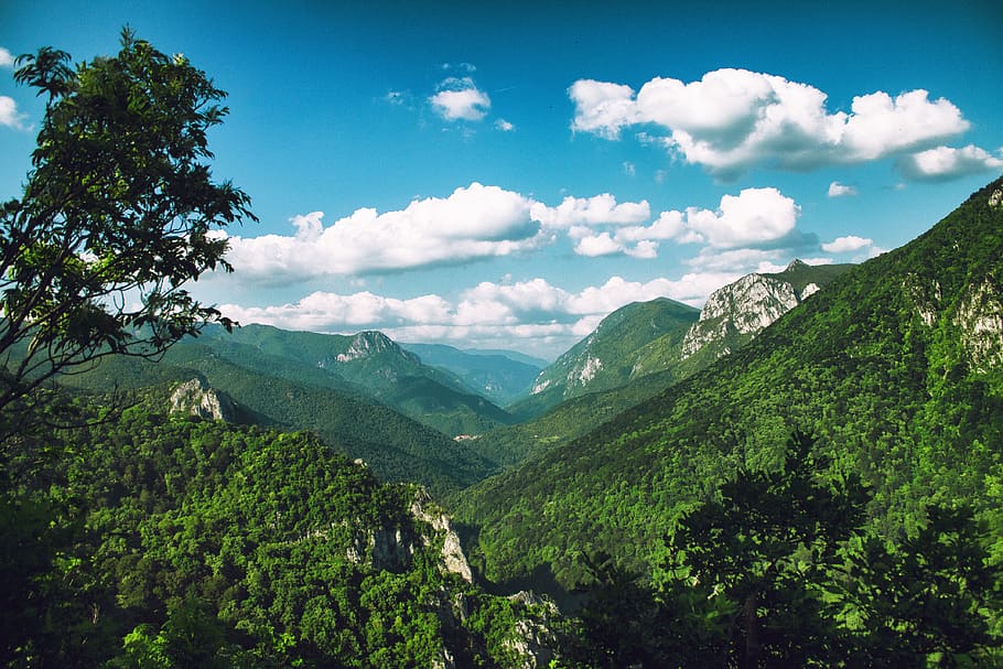 #forest, #trees, #clouds, #summer, mountain, scenics - nature HD wallpaper
